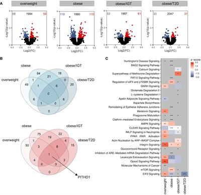 Dysregulated cytokine and oxidative response in hyper-glycolytic monocytes in obesity